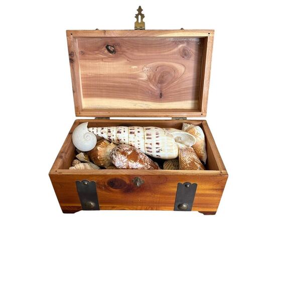 Vintage G. Merz & Son Chicago Wooden Box Treasure Box Full Of Seashells Jewelry - Picture 10 of 13